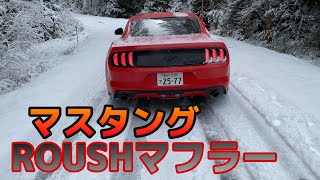 【アメ車】フォードマスタング エコブーストROUSHマフラー音 ROUSH Performance 23L Ecoboost CatBack exhaust [upl. by Past553]