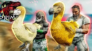 ARK PRIMAL CHAOS 2  Fizemos a FAZENDA DE DODOS [upl. by Tiram]