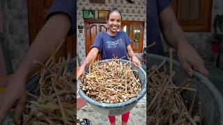 పుట్టగొడుగుల కోసం వేట 🧐 viral trending mushroom food nature [upl. by Namaj]