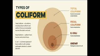 Coliform PYQ  SEM 3 S Y B PHARMACY Microbiology [upl. by Anaynek514]