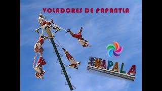 RITUAL DE LOS VOLADORES DE PAPANTLA CHAPALA JALISCO [upl. by Girardo24]