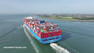 COSCO SHIPPING TAURUS on the Western Scheldt near Ritthem [upl. by Mei]