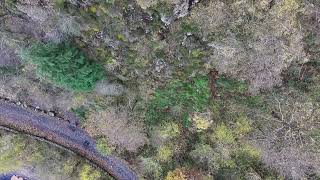 Thirlmere Rough Crag [upl. by Ioved522]