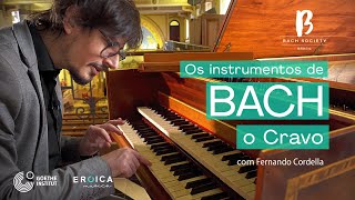 BACH BRASIL 5  quotO Cravo  Instrumentos de Bachquot  Concerto Didático com Fernando Cordella [upl. by Eelam222]