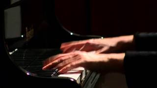 Gute Nacht from Winterreise Schubert Liszt Valentina Lisitsa [upl. by Morril]