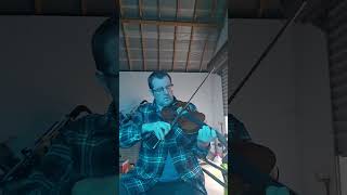 the beauty spot farrell o gara reels  fiddle [upl. by Yromem]