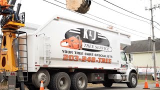 KampJ Tree Service Your Tree Care Specialists [upl. by Elleynod514]