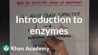 Introduction to enzymes and catalysis  Chemical Processes  MCAT  Khan Academy [upl. by Gilmore]