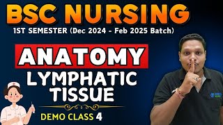 LYMPHATIC TISSUE  anatomy bsc nursing  bsc nursing 1st sem  anatomy BSC NURSING  BSC NURSING [upl. by Valerye]