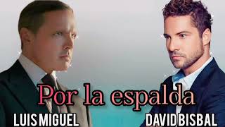 Por La Espalda  Luis Miguel Ft David Bisbal  Cristian Castro [upl. by Gerard]