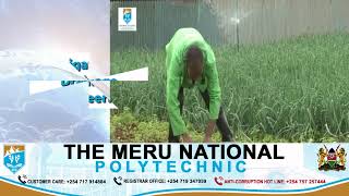 The Meru National Polytechnic September Intake [upl. by Llennehc]