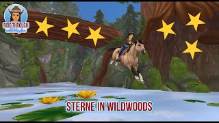 Sterne in Wildwoods ▷ 🐴 Star Stable SSO [upl. by Bohannon]