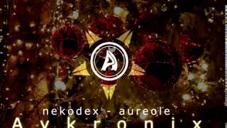 nekodex  aureole Aykronix Release [upl. by Aehsrop]