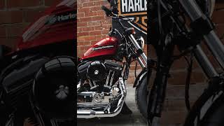 2019 HarleyDavidson FortyEight Special [upl. by Adnorhs]