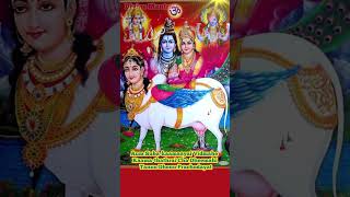 Powerful Kamadhenu Gayatri Mantra Wish Fulfilling Mantra [upl. by Marigolde457]