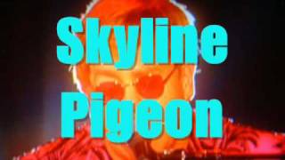 Elton John  LIVE in Syracuse 2000 2 Skyline Pigeon [upl. by Quartus]