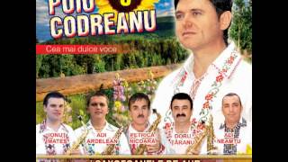 Puiu Codreanu  Mai nevastă mai muiere  album 2012 [upl. by Attolrahc415]