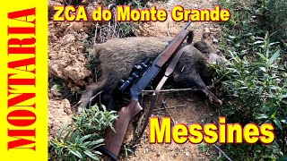 Montaria ao Veado e Javali com o Clube de caça de Monte Grande em São Bartolomeu de Messines Silves [upl. by Ynittirb]