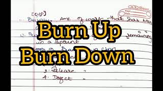 Burn up and Burn down chart in AgileAgile in Tamil [upl. by Octavla]