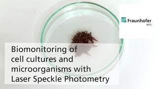 Biomonitoring of cell cultures and microorganisms with Laser Speckle Photometry LSP [upl. by Lyrehs195]