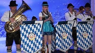 Bavarian quotoompahquot Band [upl. by Sallyann]