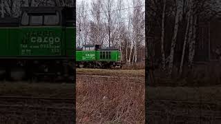 Godståget bromsar in med en gnisslande ljud train cooment railway trainspotting sidköping [upl. by Vaden]