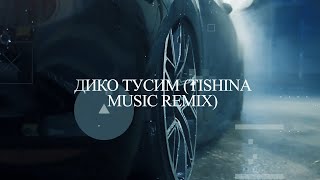 Дико Тусим  Даня Милохин amp Николай Басков TISHINA MUSIC Remix [upl. by Inahs199]