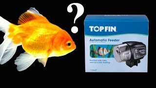 Goldfish Corner 5  Top Fin Automatic Feeder [upl. by Noll361]