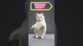 CATS SHAKING CAT ACTIONS THAT MAKE YOU LAUGH‼️😻🎉 Part 4 [upl. by Ynaffets]