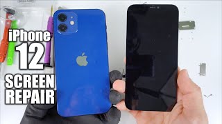 How To Teardown amp Replace iPhone 12 Screen  Screen Repair [upl. by Pros158]