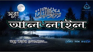 Surah AlLayl  সূরা আললাইল سورة الليل Reciter Salim Al Ruwaili [upl. by Saimerej]