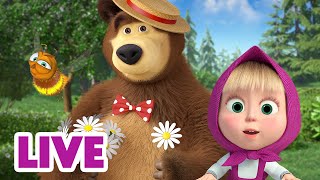 🔴 LIVE Masha e Orso 👱‍♀️🐻 Orso parlante 🎺🐻 Cartoni animati per bambini [upl. by Nosreg]