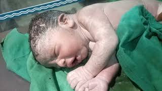 Babys First Cry After Birth newborn cute viral youtubeshorts [upl. by Schecter]