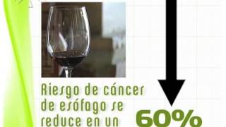 Cáncer y consumo de alcohol Código Europeo contra el Cáncer [upl. by Carthy]