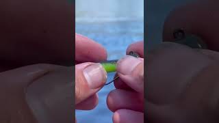 How To Rig a Weedless Ned Rig A StepbyStep Guide shorts fishing [upl. by Adnohsel409]