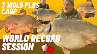 3 100lb CARP  WORLD RECORD CARP FISHING SESSION [upl. by Oflodor]