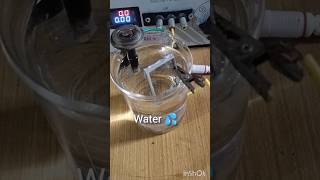 Science Experiment  Electrolysis Reaction of Water using NaOH  science electrolysis shortsvideo [upl. by Miki269]