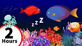 2 HOURS Bedtime Lullabies and Calming Undersea Animation Baby Lullaby Soft lullaby 213 [upl. by Jacquenetta]