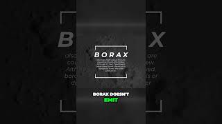 Unlocking the Magic of Borax for Mold Free Homes [upl. by Rednaskela433]