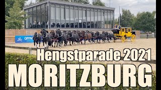 Hengstparade Moritzburg 2021 [upl. by Arykat]