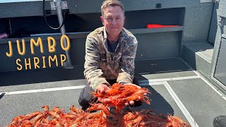 Puget Sound  SPOT Shrimp Catch Clean Cook [upl. by Iruahs]