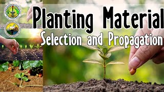 Planting Material Selection and Propagation l BSA 2 [upl. by Man]