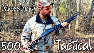 Mossberg 500 Tactical Review amp Shoot 12 Gauge [upl. by Leasi]