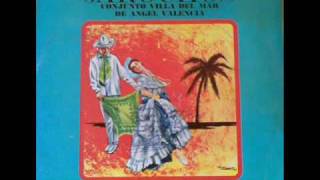 El Torito Jarocho  Conjunto jarocho Villa del Mar de Angel Valencia son jarocho [upl. by Selokcin]