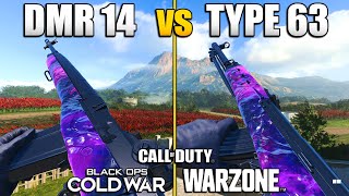 Which Overpowered Gun is Better in Warzone DMR 14 vs Type 63  CW Comparing Stats amp Class Setups [upl. by Kcinnay]