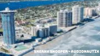 Sneaky Snooper  Audionautix [upl. by Ailelc]