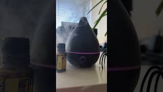 Lime amp a diffuser is all you need in the world Do you have e a diffuser in your life [upl. by Adnamar964]