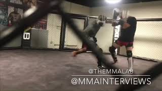 Sparring at the MMA Lab ft benson Henderson Drakkar Klose amp mike De La Torre amp Many more [upl. by Itin]