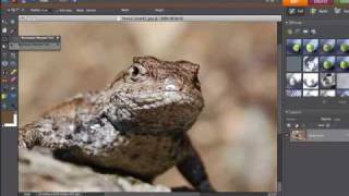 Photoshop Elements 101 The Basics [upl. by Lloyd]