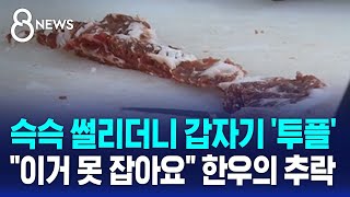 슥슥 썰리더니 갑자기 투플…quot이거 못 잡아요quot 한우의 추락  SBS 8뉴스 [upl. by Dreeda]